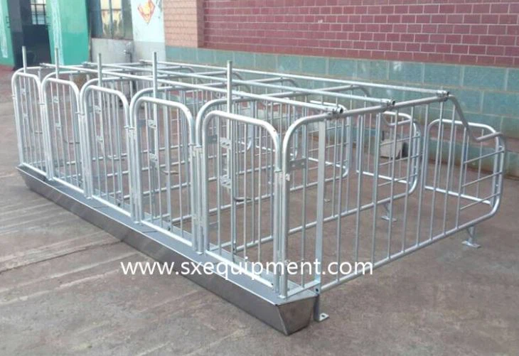 Pig Gestation Stall
