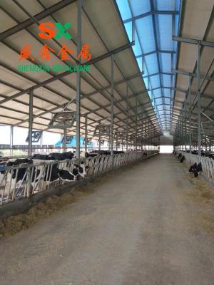 COW كۇبلىرى قوش تۈردە ھەقسىز يايما